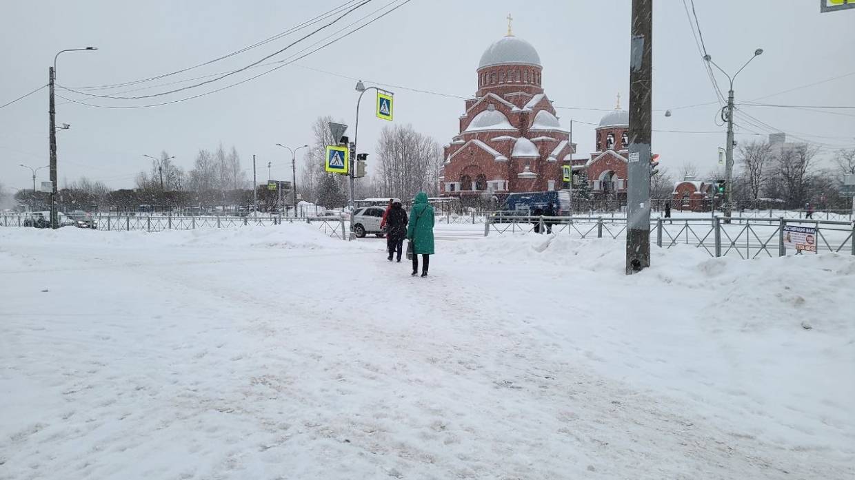 Политик Малинкович заявил, что во времена СССР снег в Петербурге убирали лучше