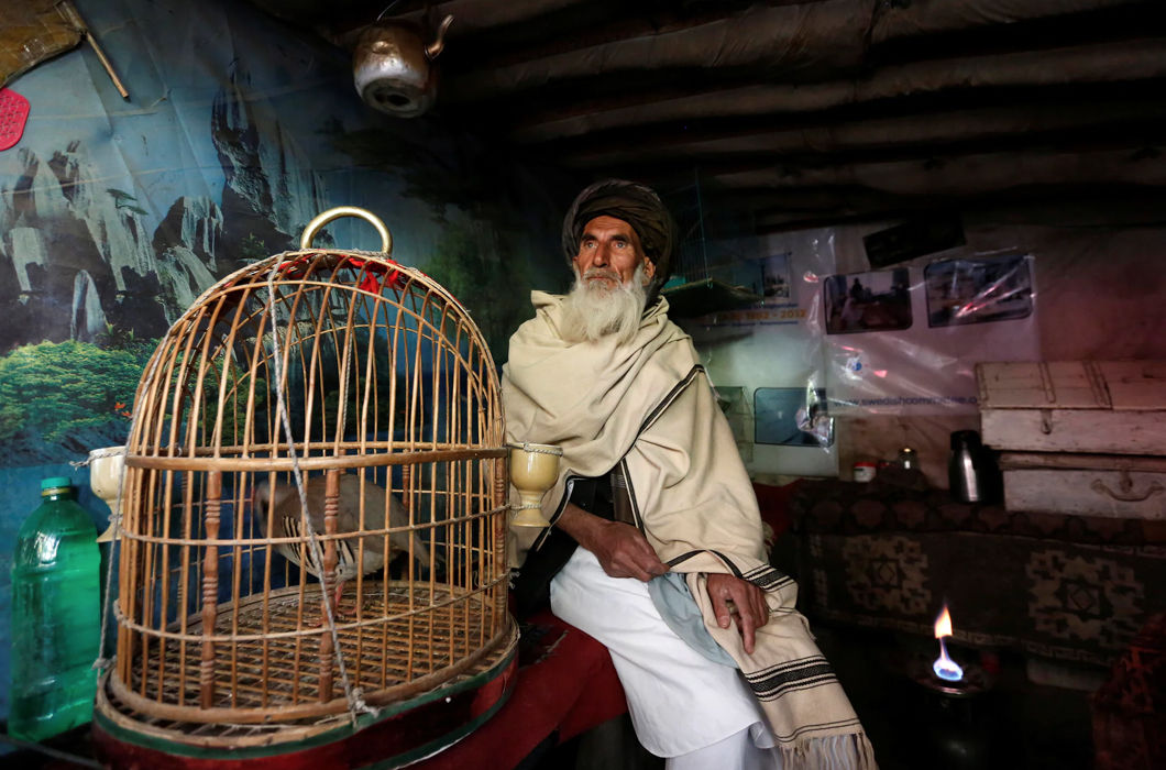 Фотопроект о птичьем рынке в столице Афганистана
