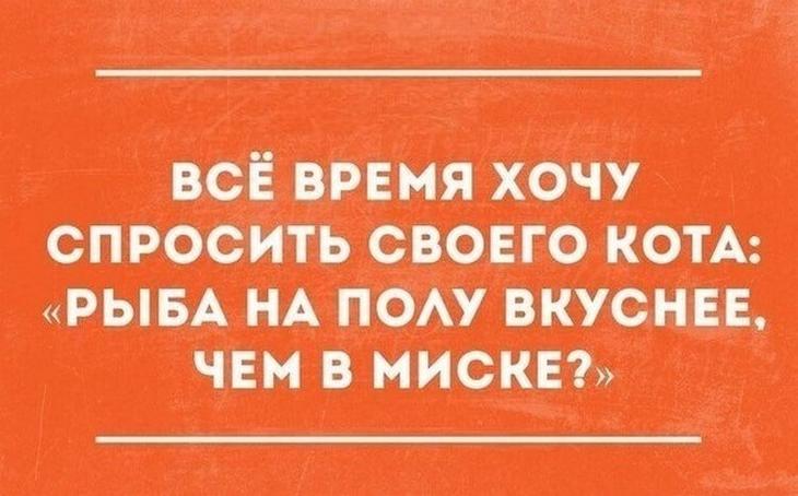 Почему белая нитка, которой соединены новые носки, всегда оказывается прочнее, чем нитки, из которых сделаны сами носки? разбил, глаза, фраза, дотянуться, уселся, предвкушении, счастья, ароматом, наполнилась, Квартира, когда, ненадолго, возвращения, засмеялись, Родители, счастье, сказала, бокал, ждать,   Дети