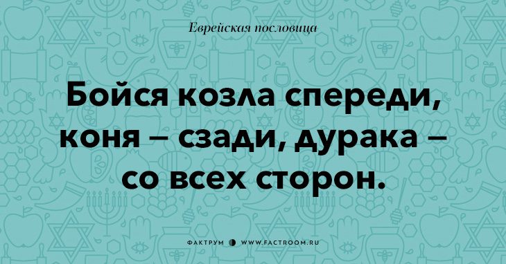 35 остроумных еврейских пословиц, которые добавят вам мудрости