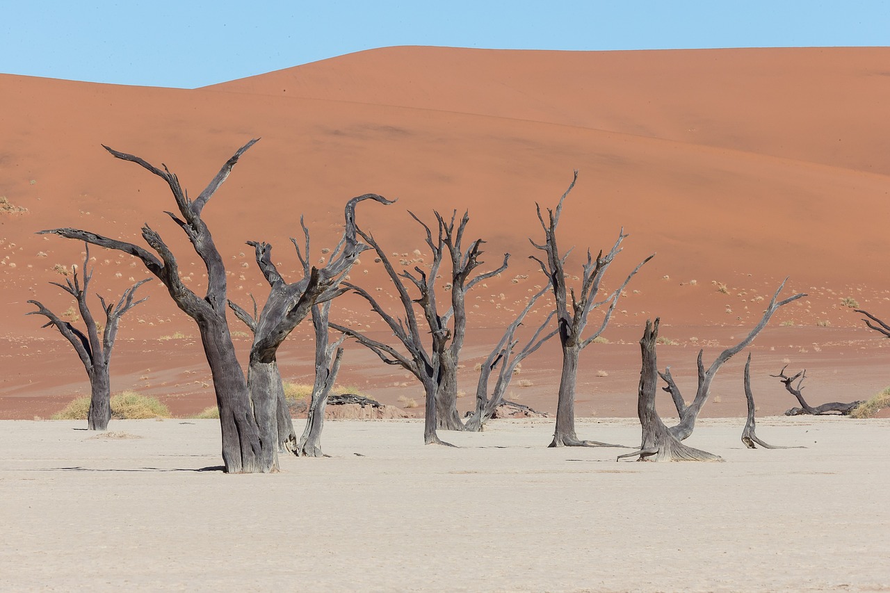 deadvlei-2859589_1280