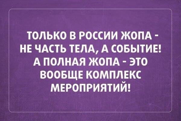 Классные картинки и фото приколы с надписями из жизни 