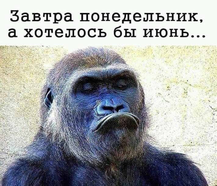 Открытки вижу понедельник