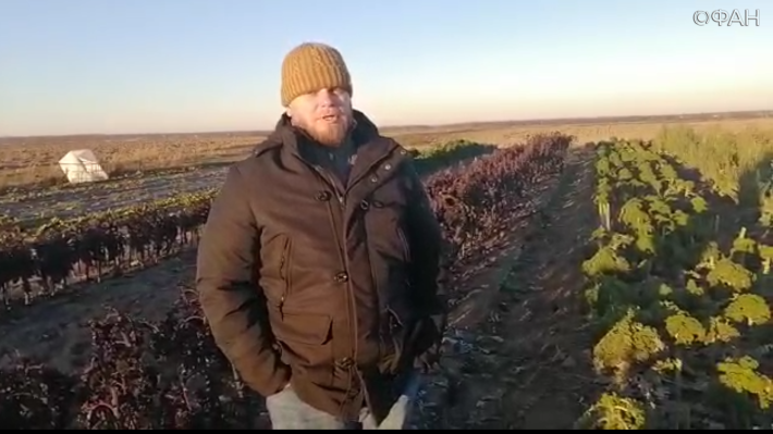 Фермеры Ленинградской области пожаловались на проблемы со сбытом урожая