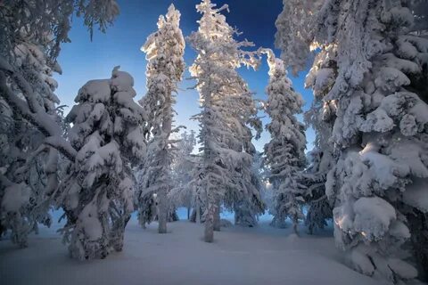 Природа Южного Урала зима.