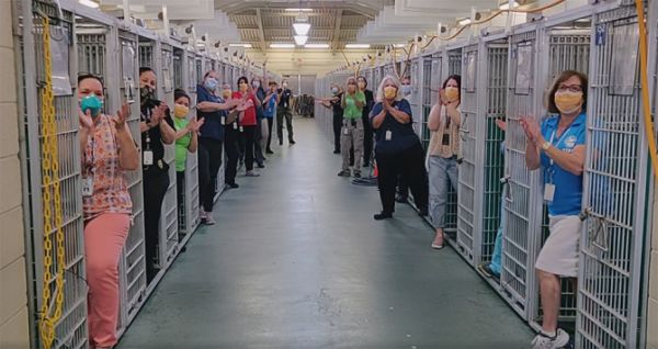 florida-empty-animal-shelter-01.jpg (43,13 Кб)