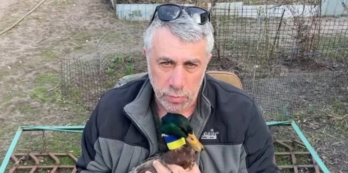 Рецепты от доктора Комаровского: когда верить Утке Рецепты от доктора Комаровского: когда верить Утке