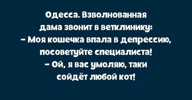 Идёт первоклассник первый раз в школу мимо детского сада.  За забором на веранде играют дошколята... Весёлые,прикольные и забавные фотки и картинки,А так же анекдоты и приятное общение