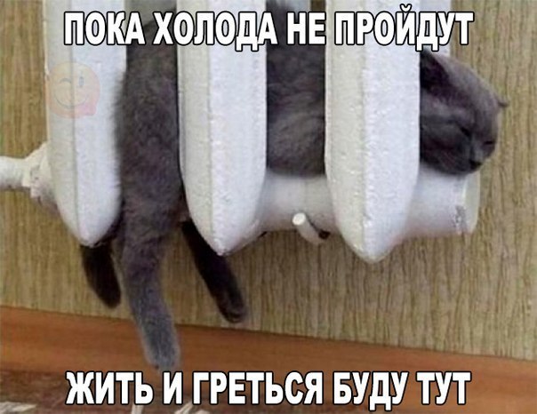 Убойные картинки с надписями 