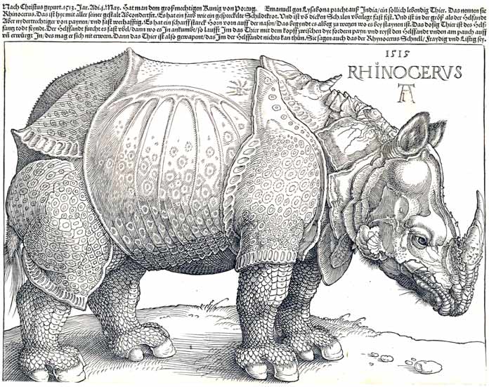 Носорог (1515)