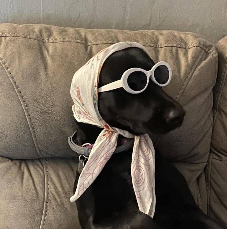 Подборка прикольных картинок  приколы,смешные картинки,юмор