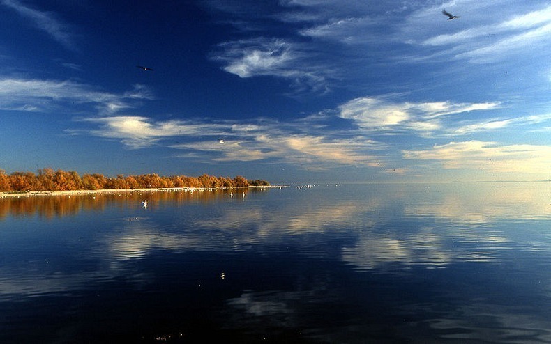 Молодое озеро Солтон-Си, которое появилось случайно природа,Путешествия,фото