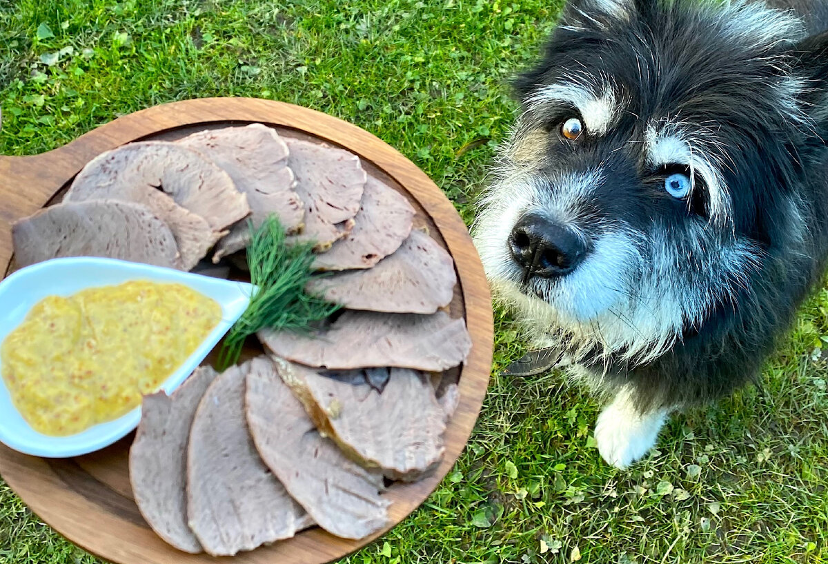 Свиное сердце на бутерброды: стоит недорого, а на вкус ничуть не хуже языка сердце, субпродукты, свиное, добавляю, горошком, петрушку, устанавливаю, мультиварки, крышку, Закрываю, перец, мультиваркиЗаливаю, водой, ТОМЛЕНИЕ, способомВыкладываю, таким, готовлю, говяжье, разаУ, программу