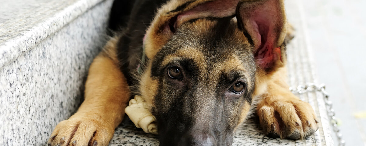 Если любишь – отпусти. Не зря так говорят Если любишь – отпусти. Не зря так говорят