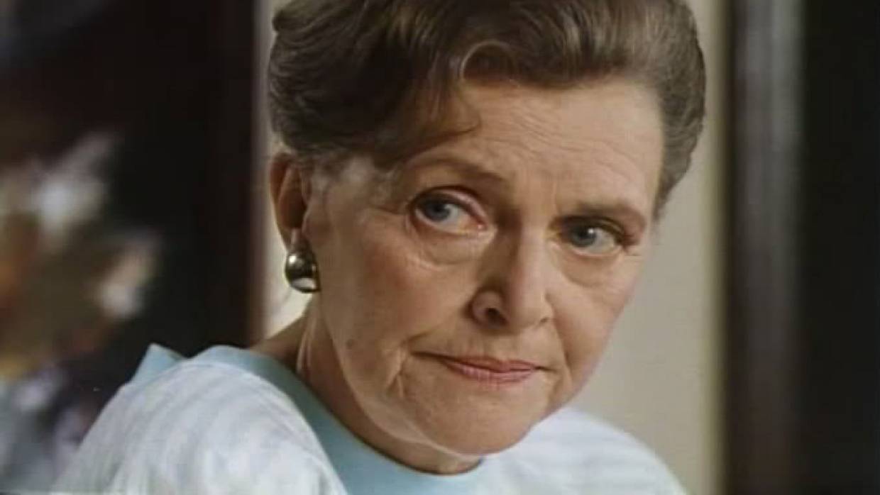 Главные новости дня: 19 ноября Общество