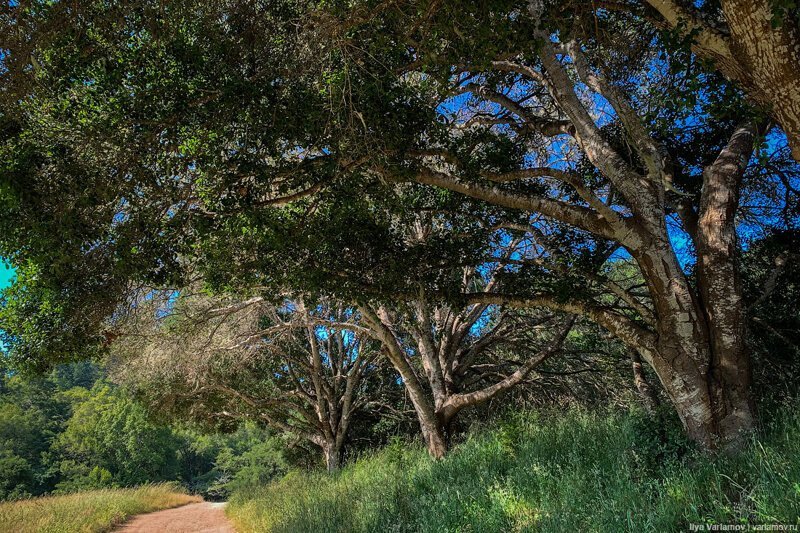 Как американцы любят природу. Путевые заметки заграница,поездка,путешествие,страны,туризм