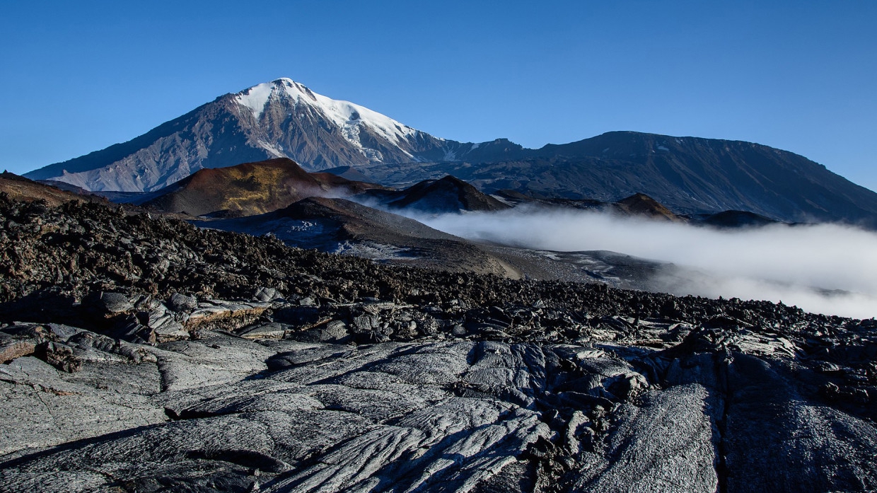 Губернатор Камчатки первым в России назначил заместителя на пост по борьбе с COVID-19
