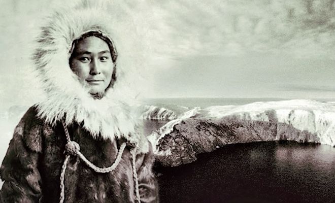 Кухарку случайно забыли на арктическом острове и корабль отплыл. Женщина полтора года жила в окружении белых медведей