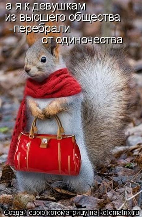 Мысли вслух :)