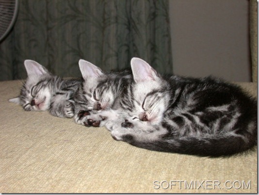 5a96eb387a2ca92b67c8ae33aed1d92f