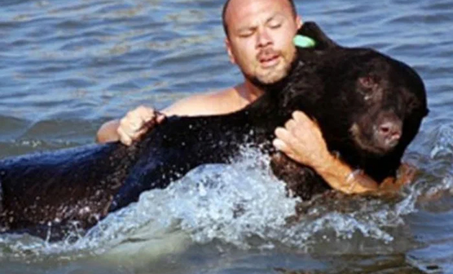 Черный медведь оказался в озере и не мог плыть. Ему на выручку пришел человек
