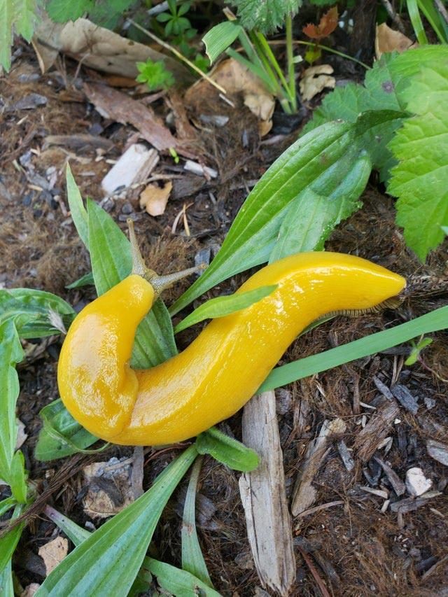 Мир без фотошопа. Удивительное зрелище! Мир без фотошопа. Удивительное зрелище! мир