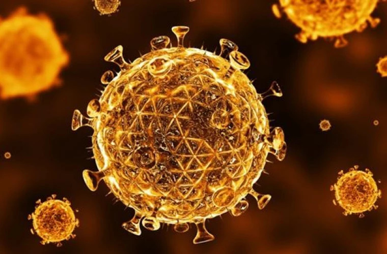 Клетка иммунодефицита. Вирус иммунодефицита человека. Иммунодефицитные состояния ВИЧ. Клетка ВИЧ. Вторичные иммунодефициты картинки.