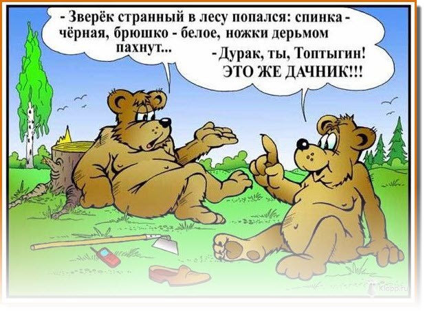Странный зверь