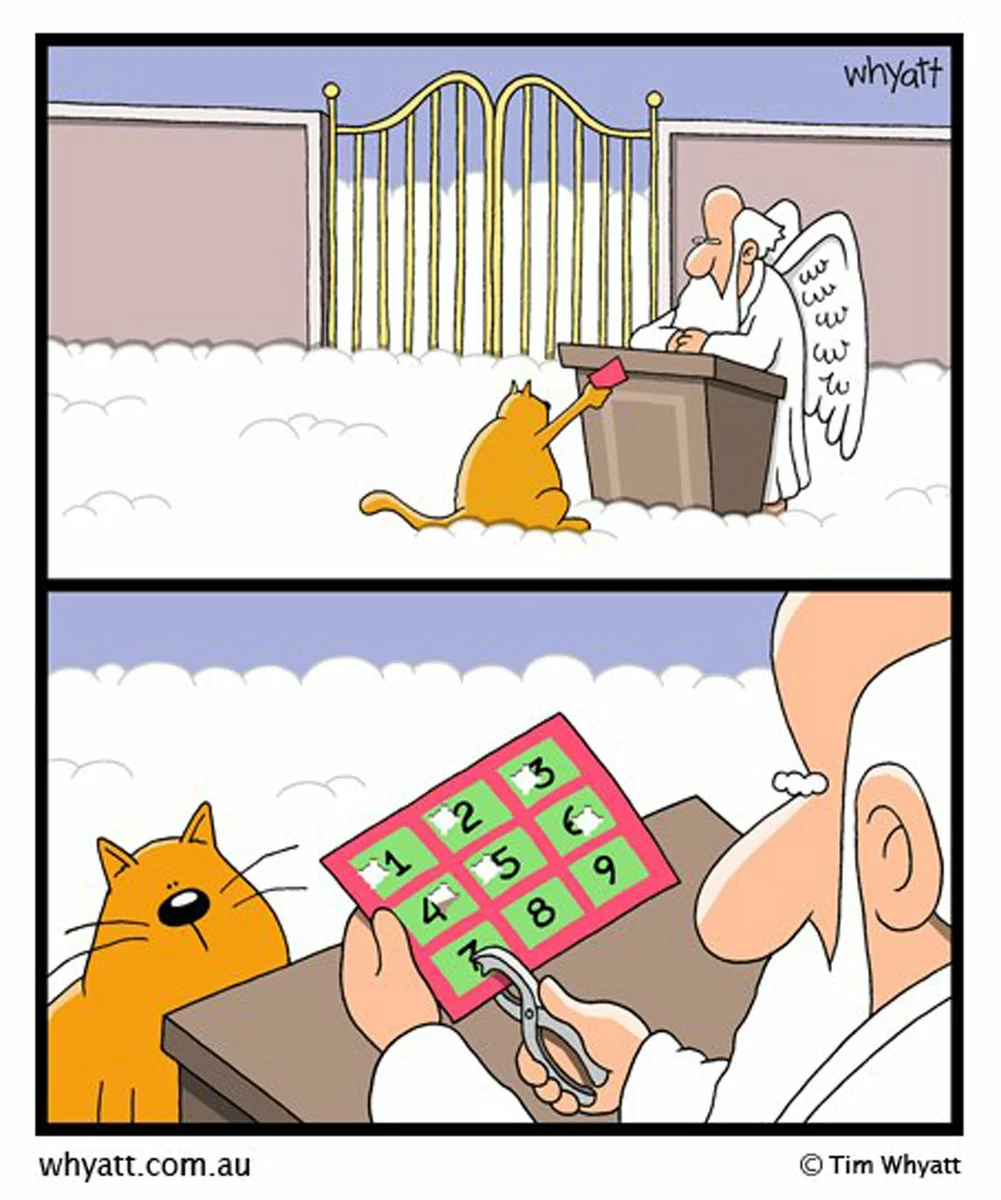 Смешные моменты из жизни взрослых людей веселые картинки,смех