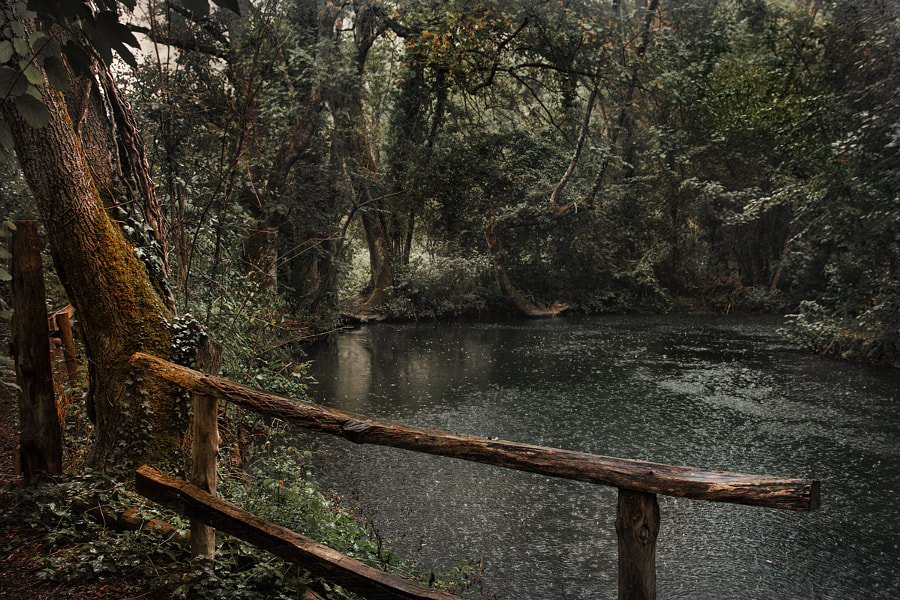 Rainy day by Cristel SASSONIA on 500px.com