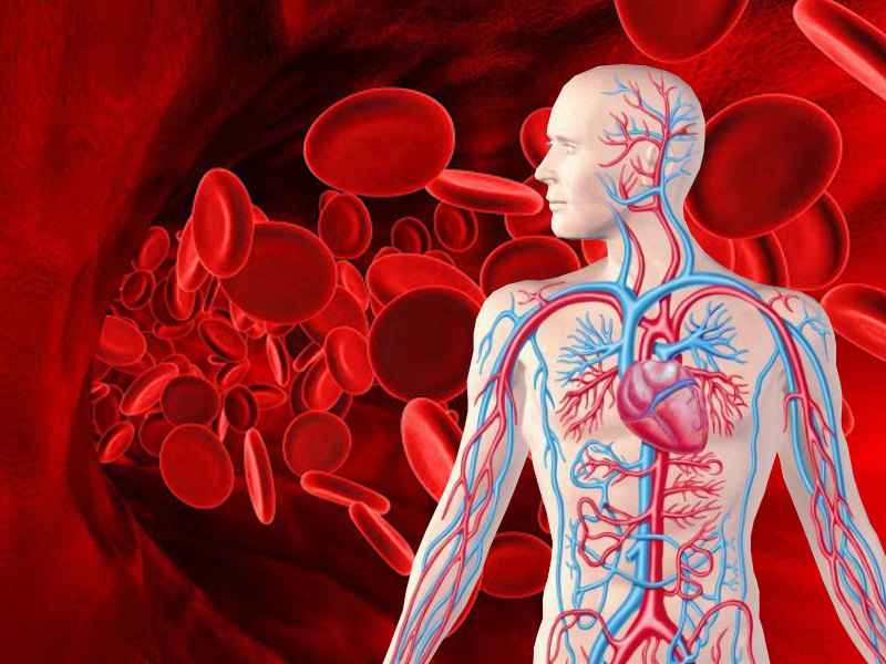 5 способов повысить уровень кислорода в крови