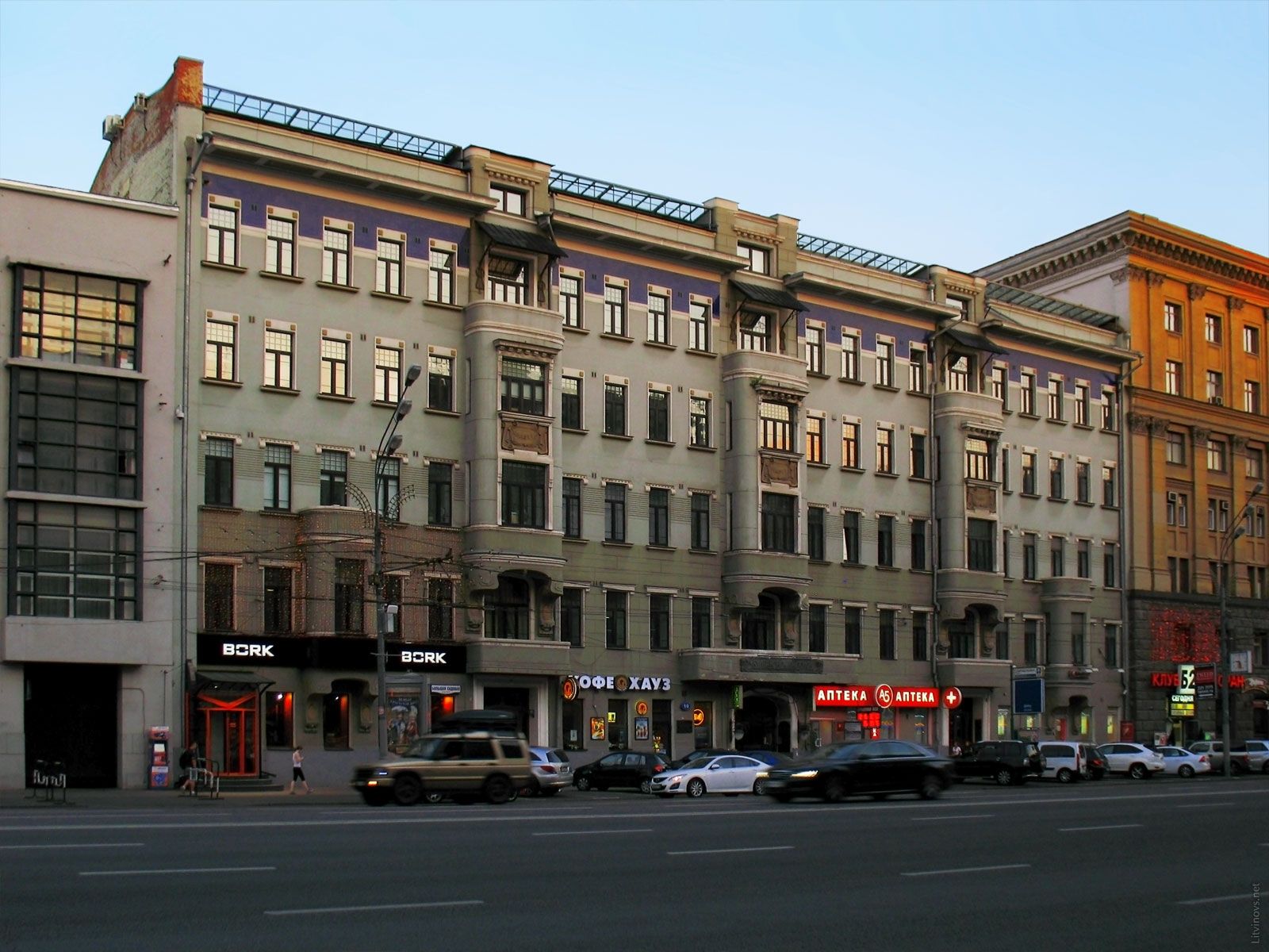 Московские птицы 10. Совы