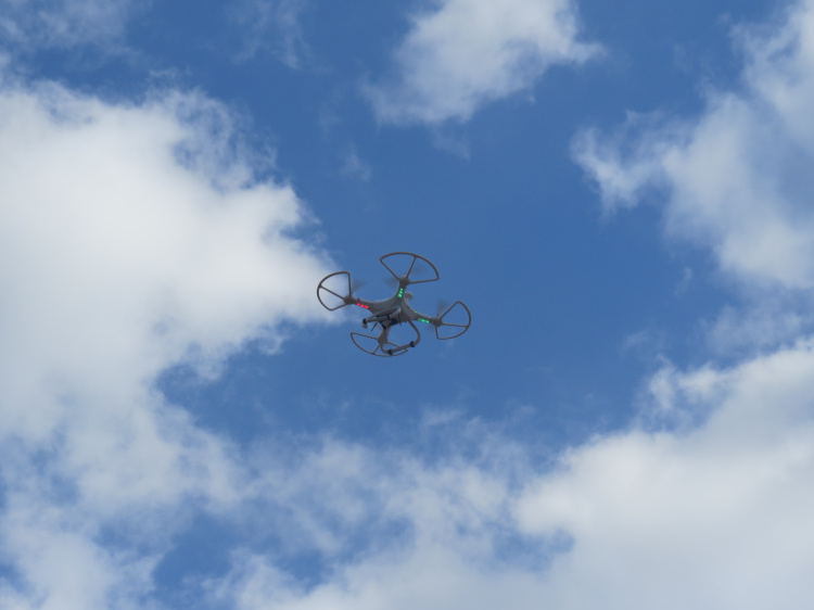 В апреле над Анапой будут летать беспилотники: дроны задействуют для уничтожения комаров