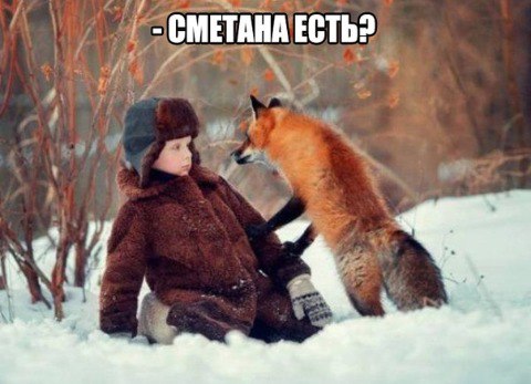 Убойные картинки с надписями 