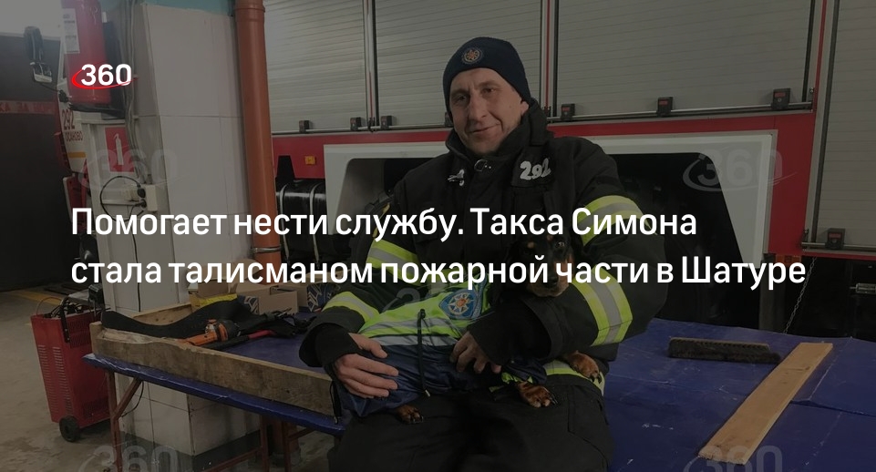 Такса Симона стала помощником и талисманом пожарной части в Шатуре