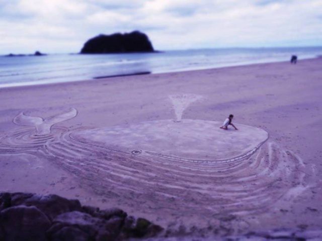 Удивительные и прикольные моменты 