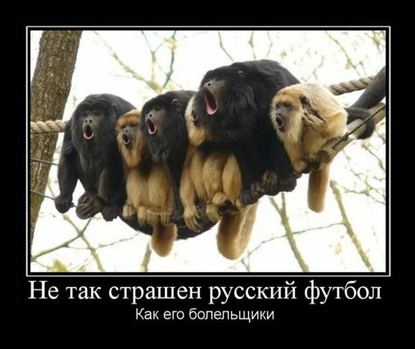 Прикольные вечерние демотиваторы для улыбки и хорошего настроения 