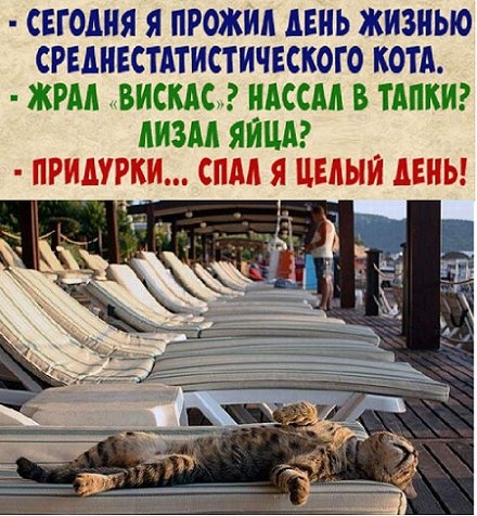 Анекдоты, истории и картинки с надписями 