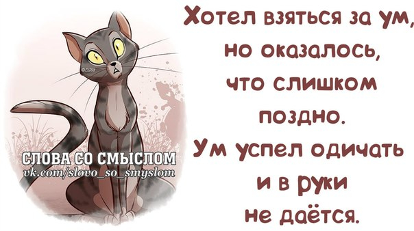 Во всём есть плюсы. Маленькая грудь помогла Маше вынести из магазина две груши ...)) анекдоты