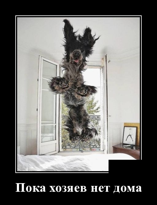 Лучшее средство запомнить свадьбу - взять на нее кредит Лучшее средство запомнить свадьбу - взять на нее кредит анекдоты,веселье,демотиваторы,приколы,смех,юмор