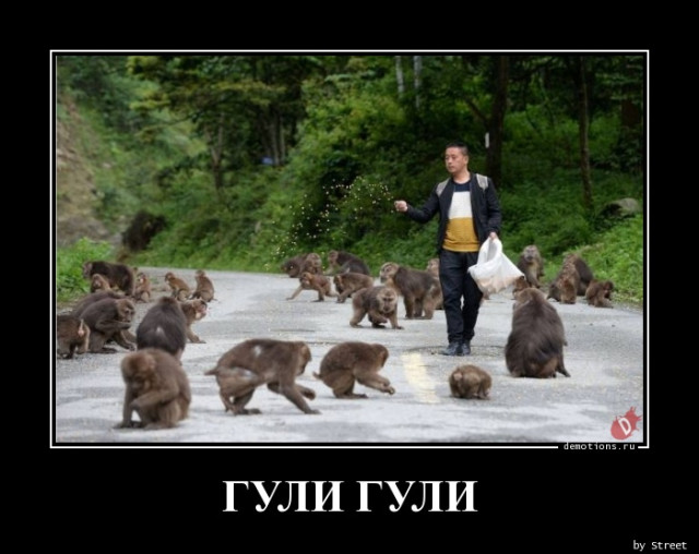 Демотиваторы прикольные для всех: «Фитотерапия» 