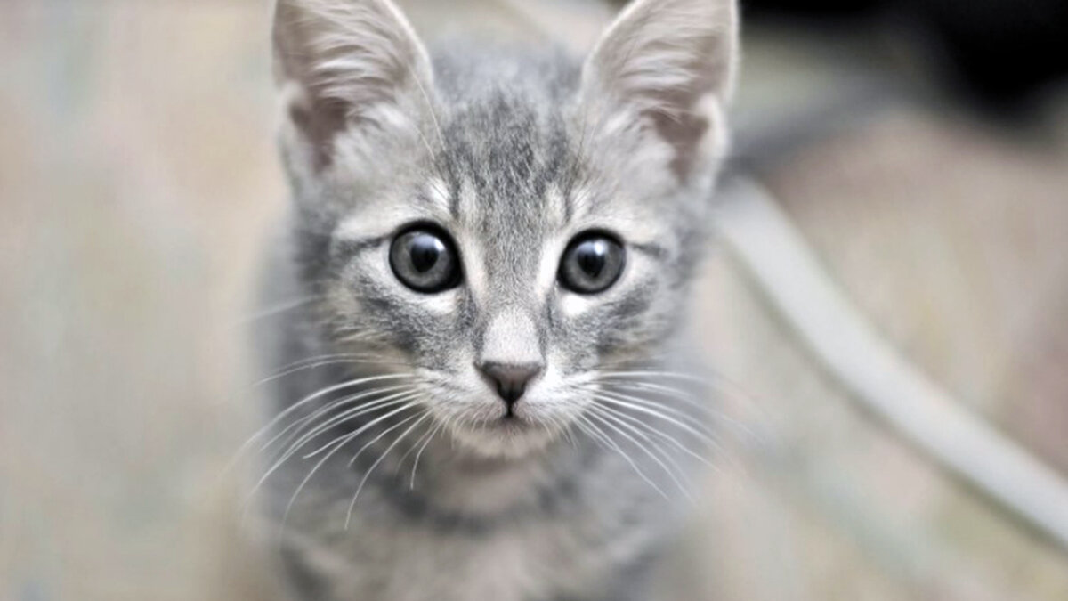 Секунда длиною в жизнь