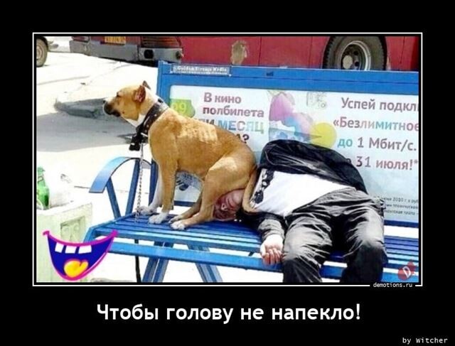 Демотиваторы свежие и прикольные Демотиваторы свежие и прикольные