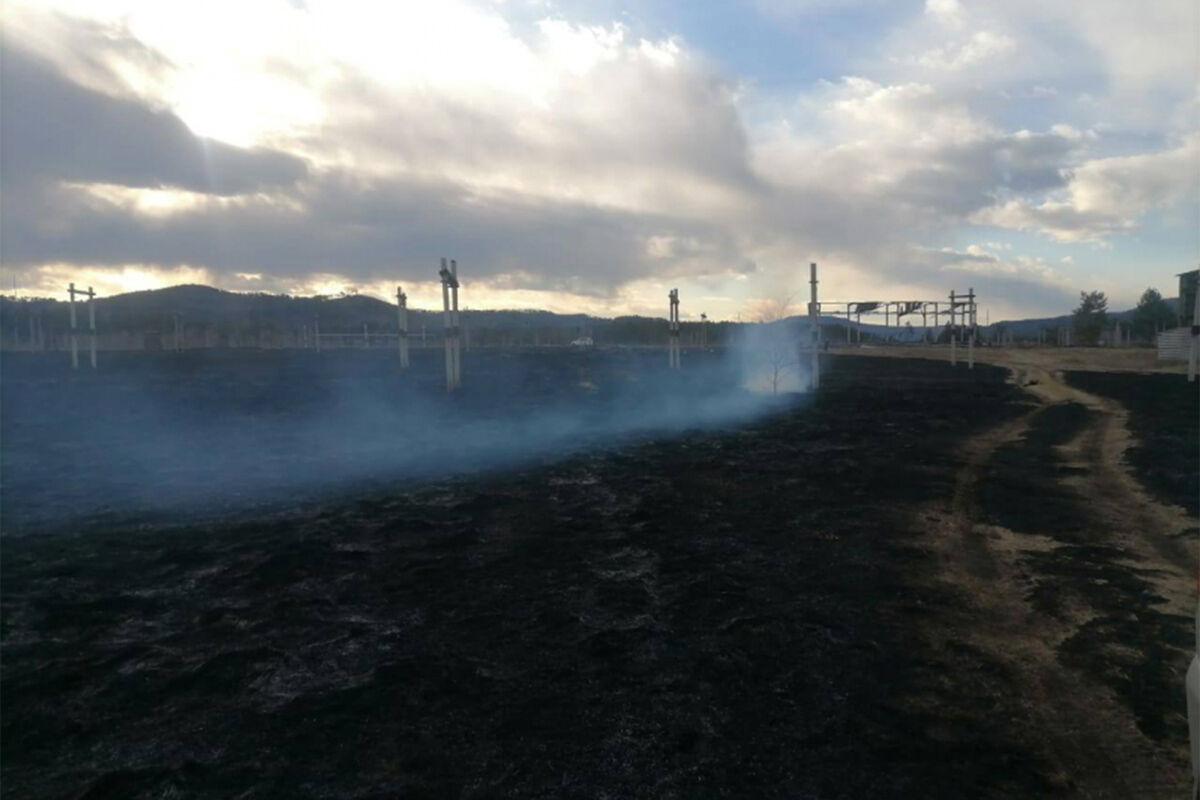 В Забайкалье вахтовик выронил сигарету и сжег 150 гектаров травы