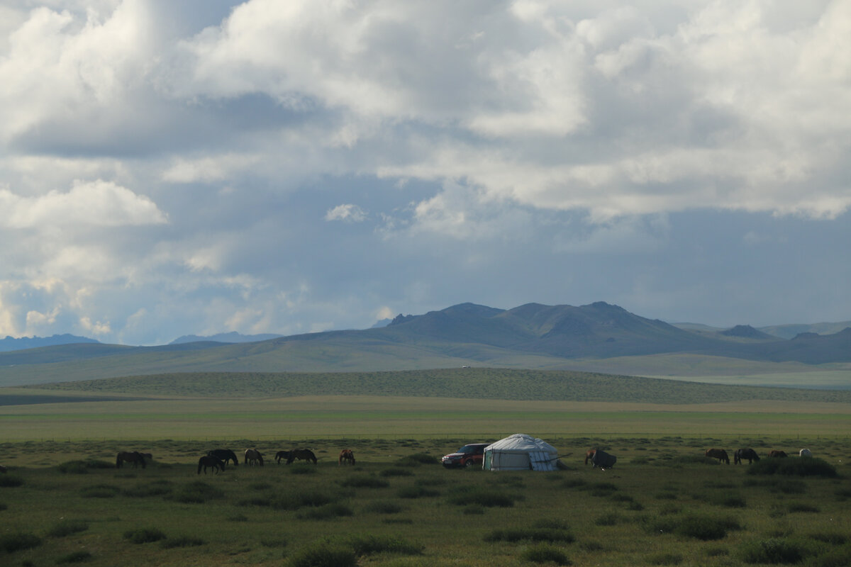  "Шестнадцатая союзная республика", "скотоводческая сверхдержава", "страна последних кочевников" - все эти эпитеты довольно точно подходят Монголии, стране, которую мало кто у нас хорошо себе...-31