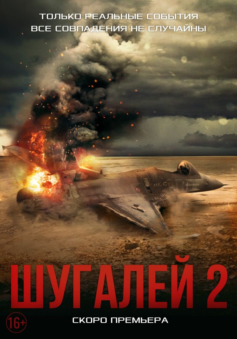 Востоковед уверен, что «Шугалей-2» покажет реальную картину происходящего в Ливии