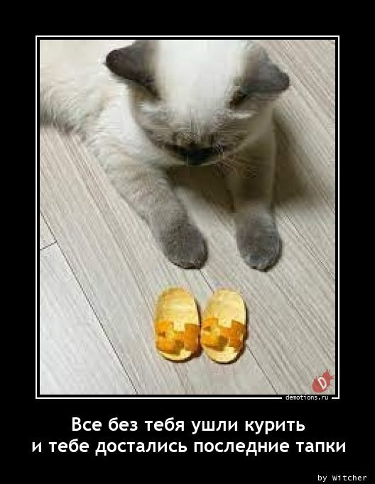 Демотиваторы с приколами: «Позаботься о своём будущем» 