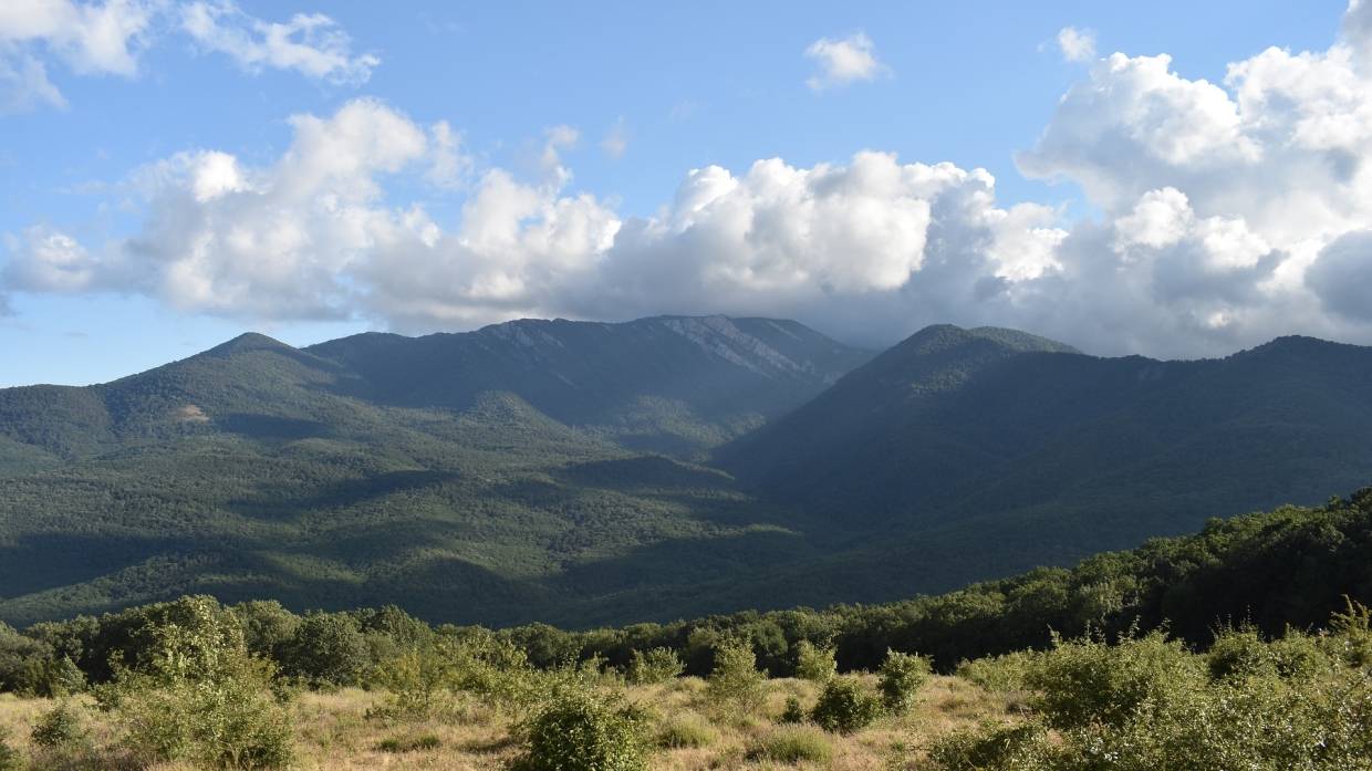 Эксперт по туризму Лукьяненко заявила о необходимости возрождения санаторного лечения в Крыму Эксперт по туризму Лукьяненко заявила о необходимости возрождения санаторного лечения в Крыму Общество