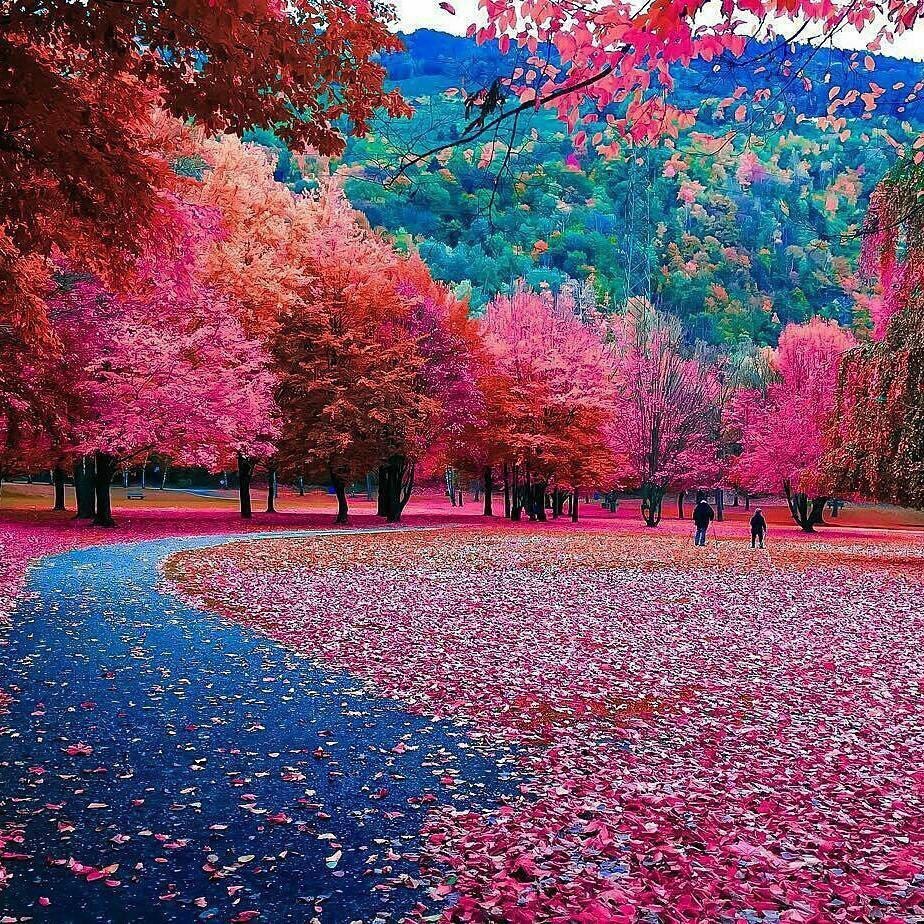 Свежие, прикольные и забавные фотографии из нашей жизни красивые фотографии,прикольные картинки,шикарные фотографии