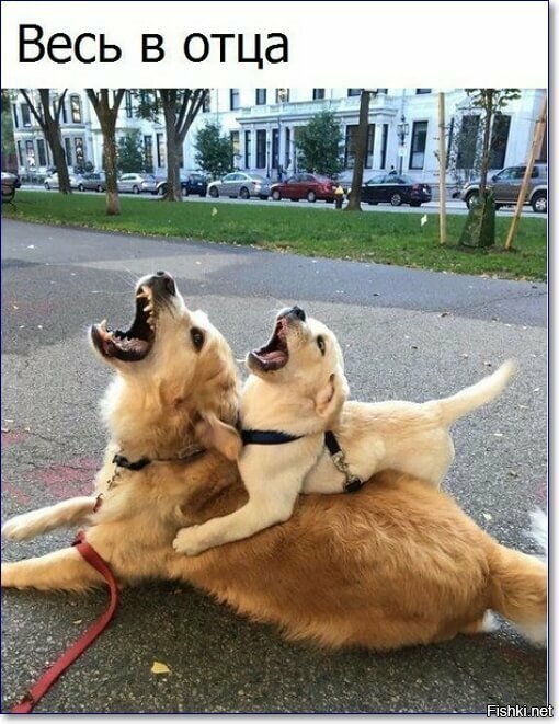 Юбилейная подборка интересных и веселых картинок №50 Юбилейная подборка интересных и веселых картинок №50 отдых